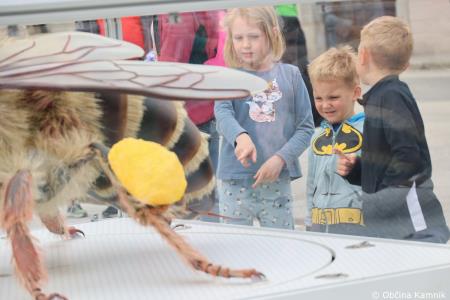 Čebela velikanka potuje po Kamniku (41)